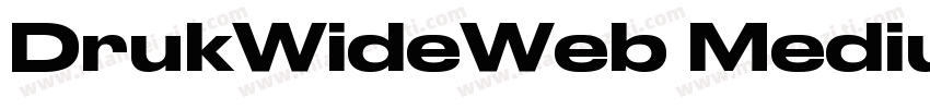 DrukWideWeb MediumIt字体转换